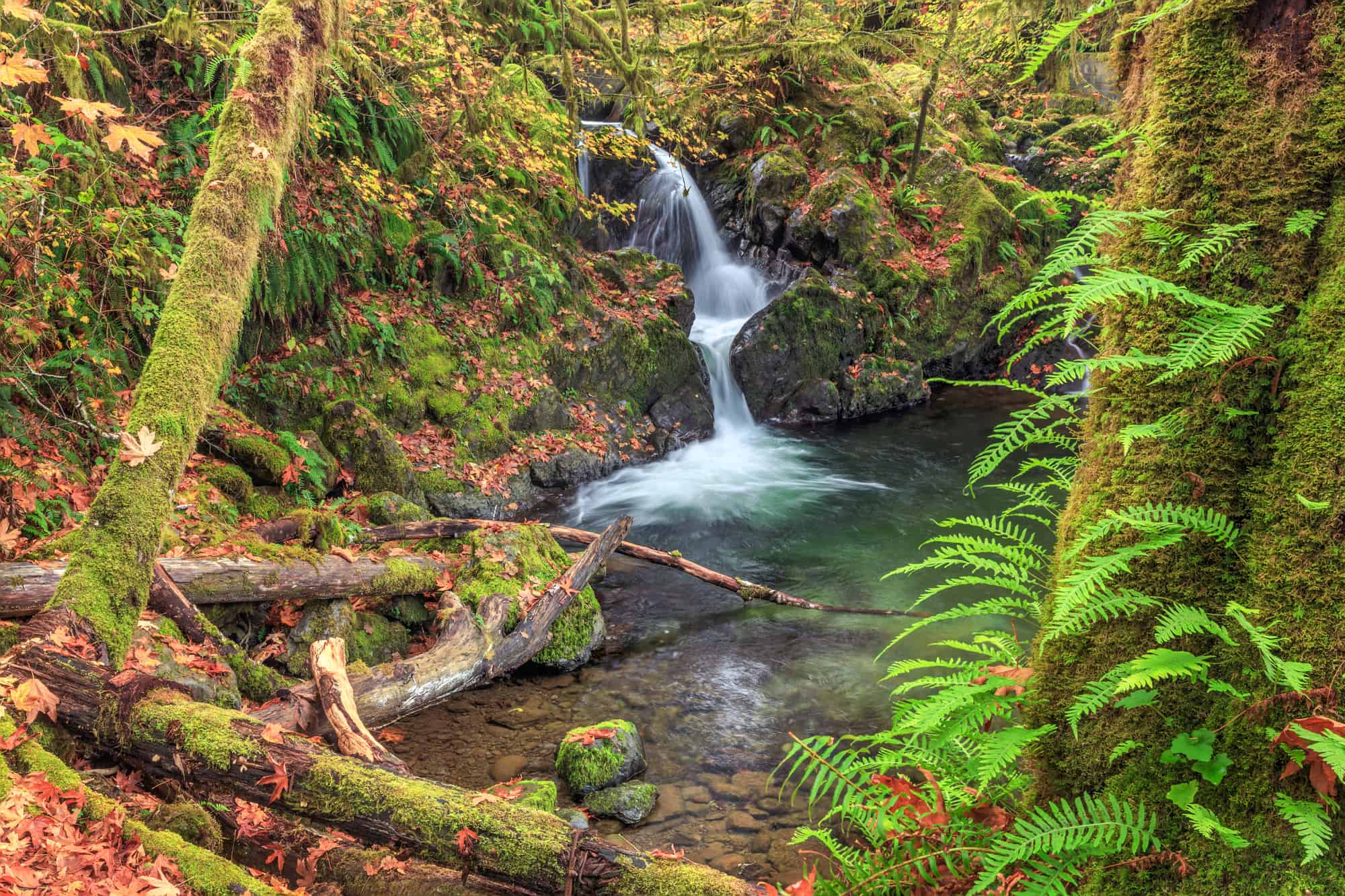 Olympic national park falls hotsell