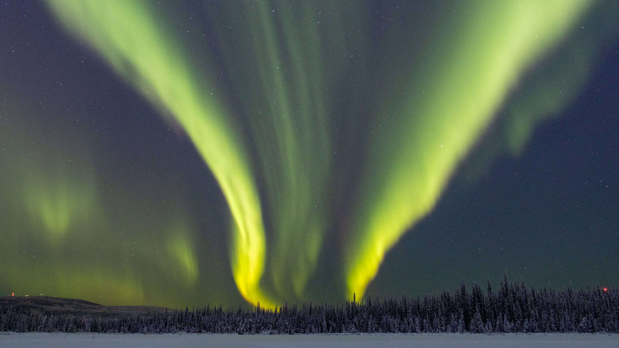 Brilliant green aurora streaks fan out dramatically across the night sky above a snowy forest horizon.