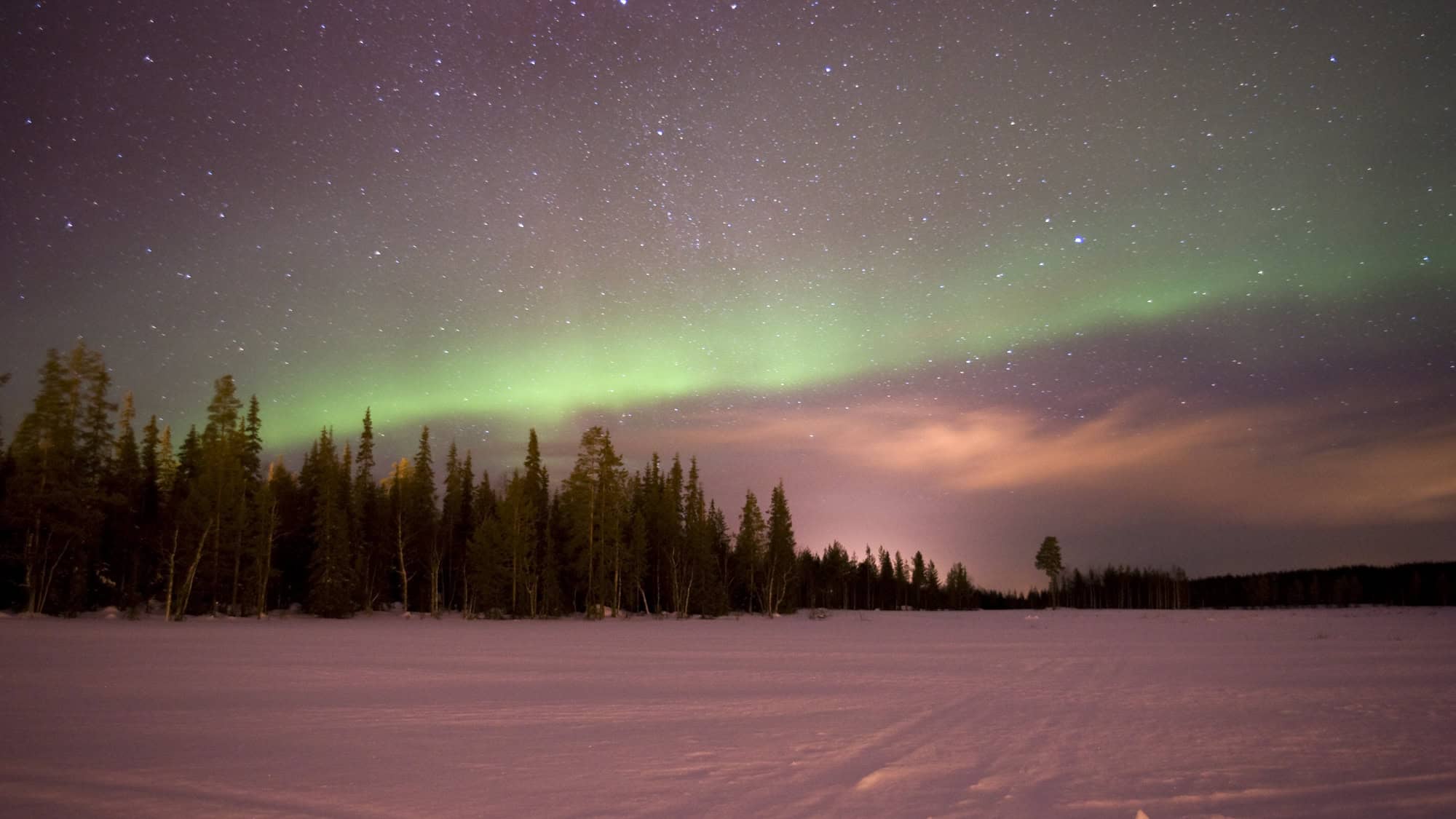 Green northern lights glow above a snowy forest clearing, with stars sparkling across the purple night sky.