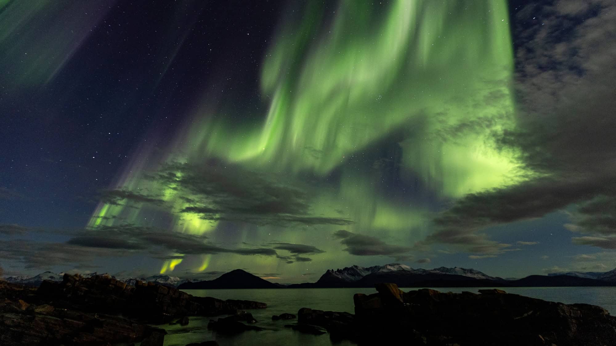 Brilliant green aurora cascades dramatically over a rocky shoreline, with distant snowcapped mountains silhouetted beneath the glowing sky.