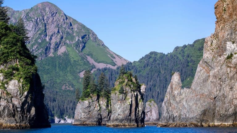 The rugged coastline of Kenai Fjords National Park, showcasing dramatic cliffs, lush greenery, and calm blue waters with towering mountains in the background.