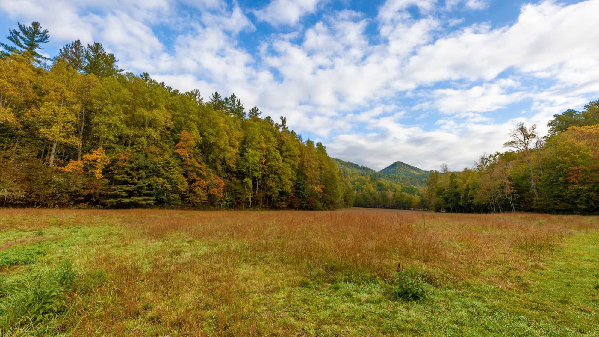 A scenic view of Cataloochee Valley in the Smoky Mountains, with a lush green field bordered by autumn-colored trees and distant mountains under a partly cloudy sky.