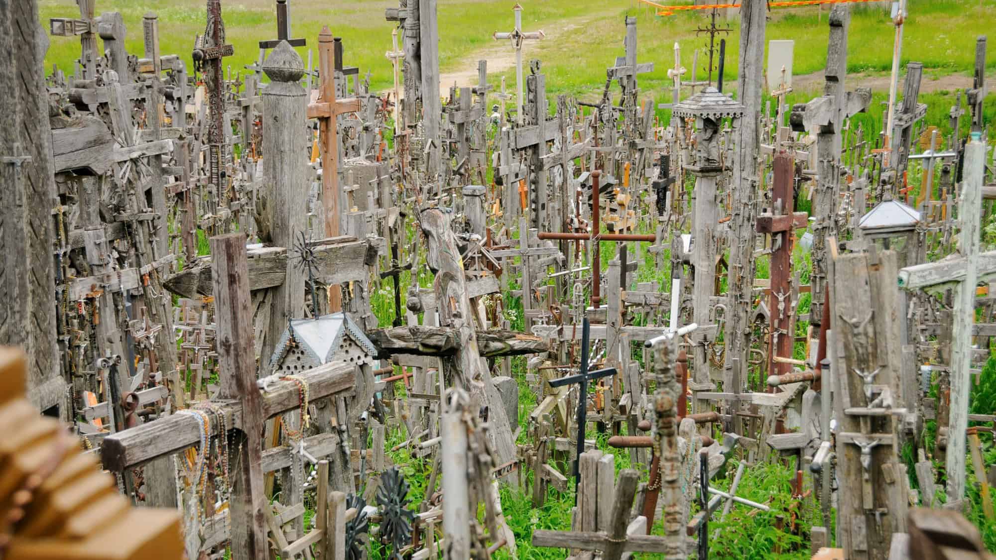 A densely packed field of wooden crosses of various shapes and sizes, with rosary beads draped over some. The crosses stand on grassy terrain, creating a solemn and historical atmosphere.