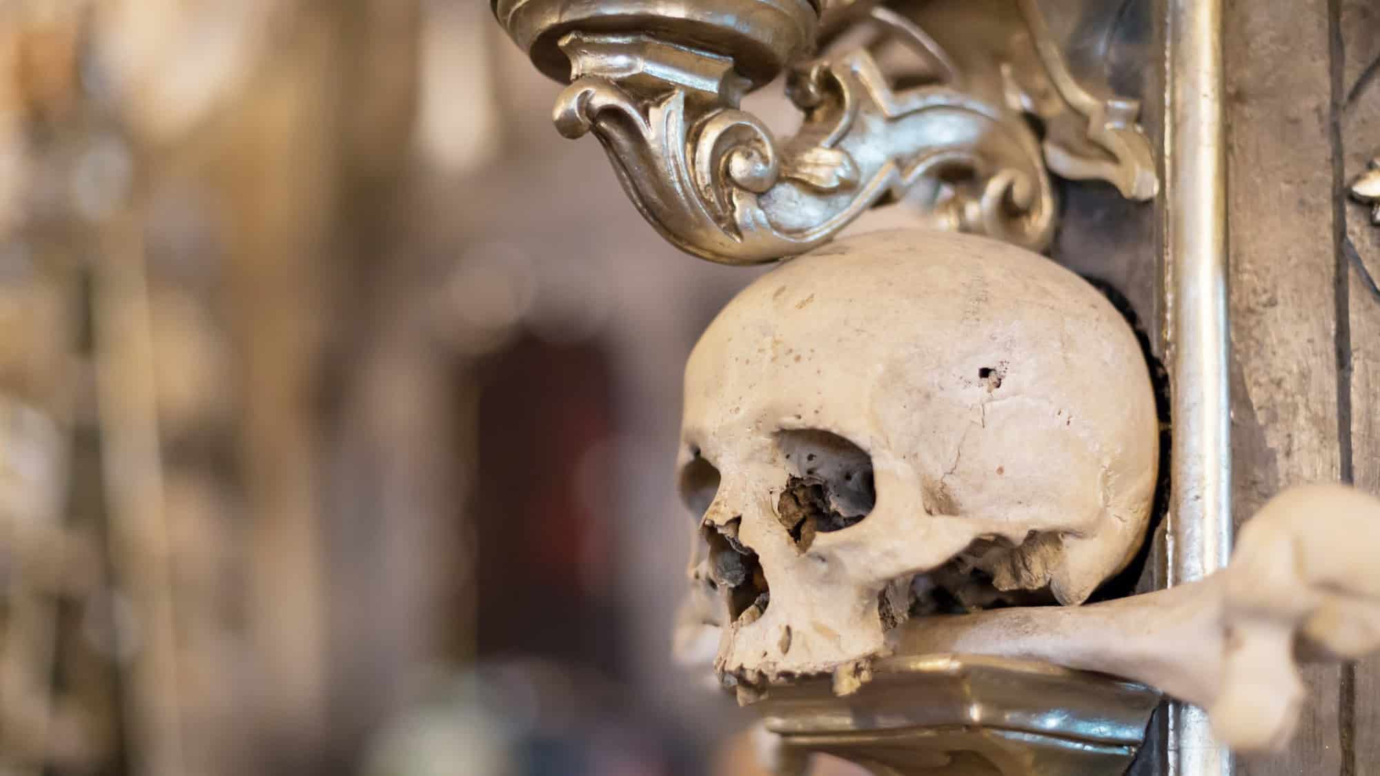 A close-up shot of a human skull mounted on an ornate structure, part of the famous bone chandelier in the Sedlec Ossuary. The polished bones are intricately arranged, evoking a haunting, yet artistic, ambiance.