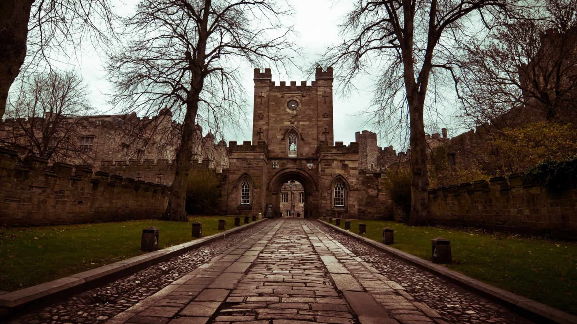 A moody view of a medieval castle’s entrance under bare trees, casting a gothic ambiance with the worn cobblestone path leading to the main stone archway.