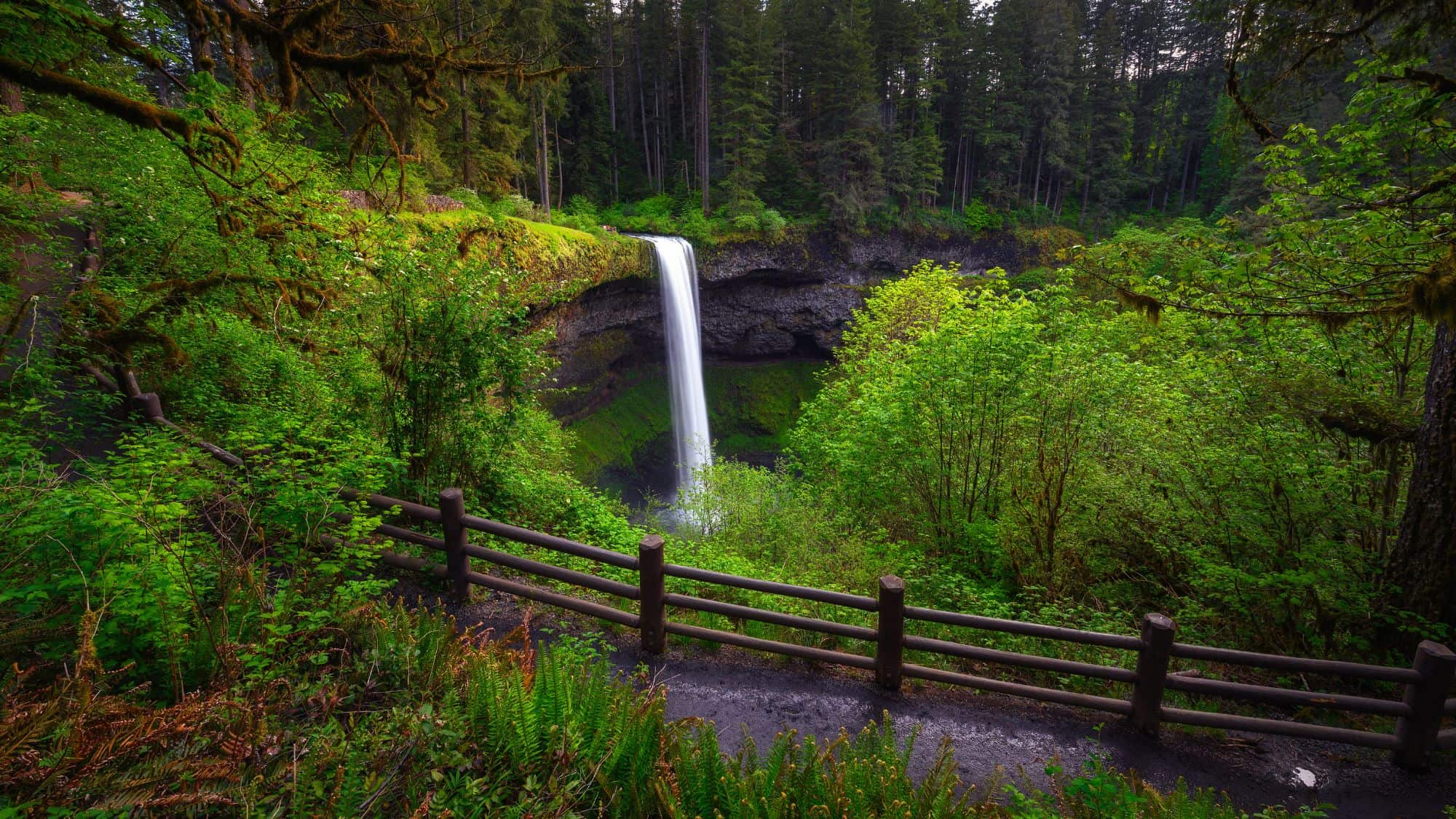 A waterfall flows over a cliff full of greenery in Silver Falls State Park.
