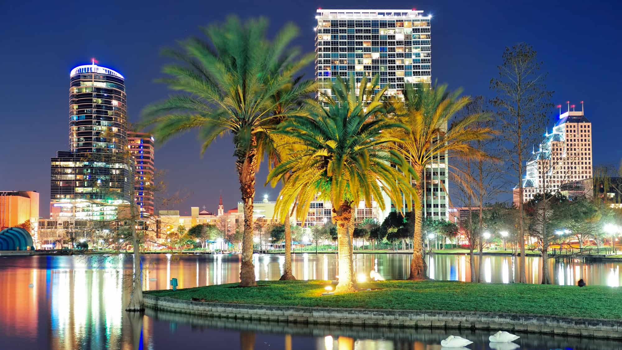 A night scene in downtown Orlando with illuminated palm trees and reflections of city lights on Lake Eola. Skyscrapers glow in the background, adding to the lively urban atmosphere.