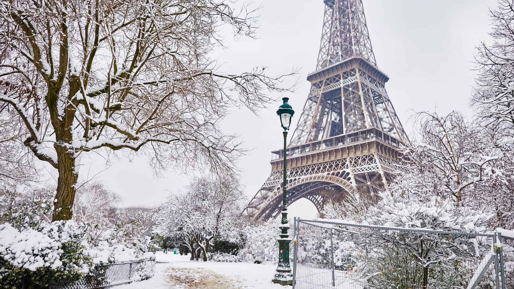 A snowy scene of the Eiffel Tower framed by bare, snow-covered trees in a serene winter landscape. The soft snowfall adds a magical quality to the iconic landmark.