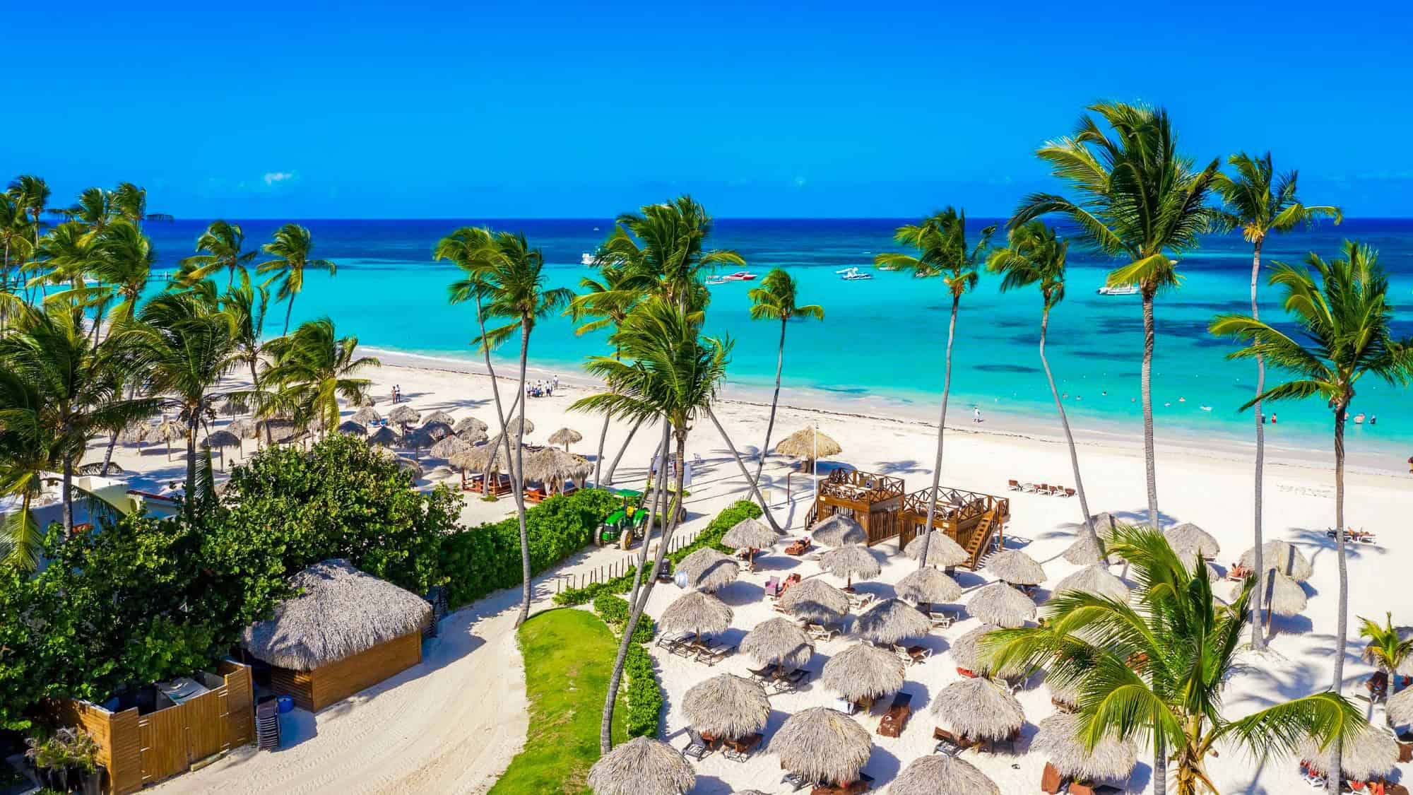 A tropical beach scene in Punta Cana featuring rows of thatched umbrellas under tall palm trees on a bright, sandy shore. The turquoise water sparkles under a cloudless sky, perfect for a sunny vacation.