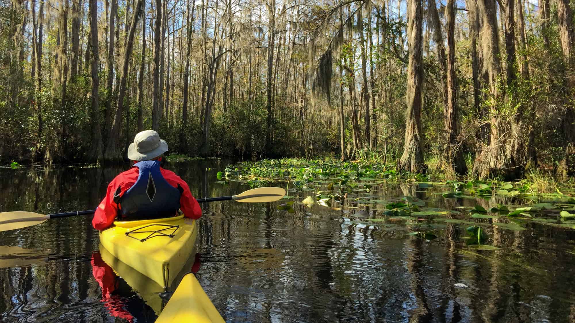 A person in a yellow kayak paddles through the Okefenokee swamp, surrounded by towering cypress trees draped with Spanish moss and lush patches of floating vegetation.