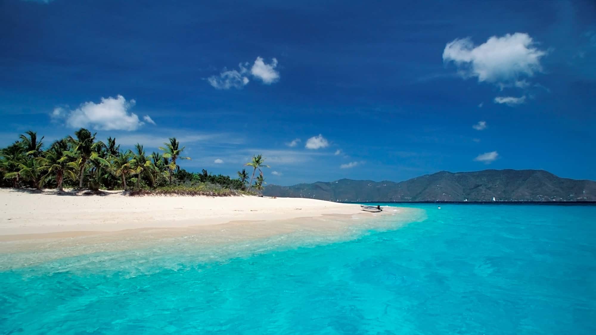 A pristine white-sand beach lined with palm trees curves into clear turquoise water, with distant green mountains under a deep blue Caribbean sky.