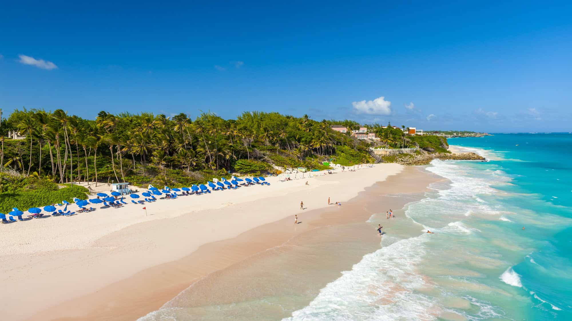 A pristine white sand beach lined with blue umbrellas and tall palm trees stretches along the vivid turquoise coastline of Barbados, with visitors lounging and swimming beneath a brilliant blue sky.