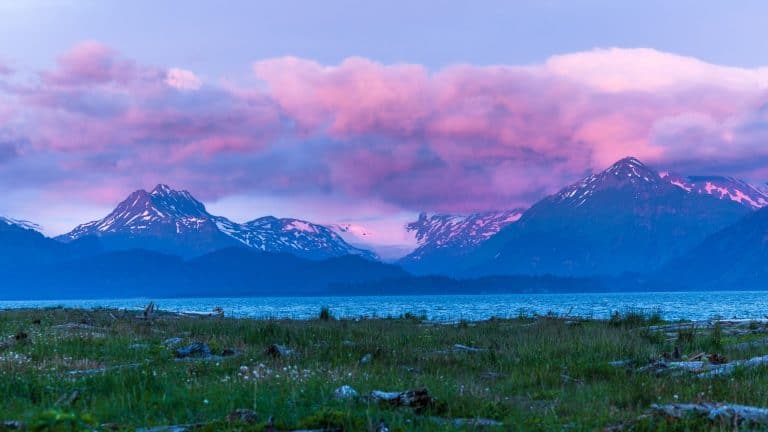 Majestic, snow-capped peaks under a dramatic pink and purple cloudscape at Denali National Park, with grassy tundra and a lake in the foreground.