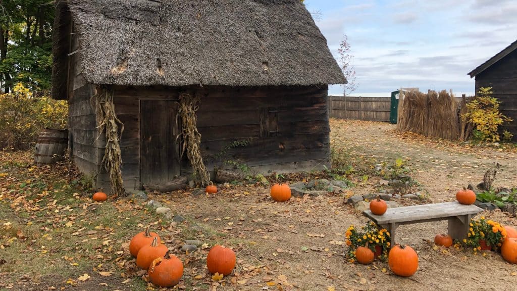 A rustic wooden cabin with a thatched roof is decorated for autumn with pumpkins, dried corn stalks, and yellow flowers scattered around the yard.