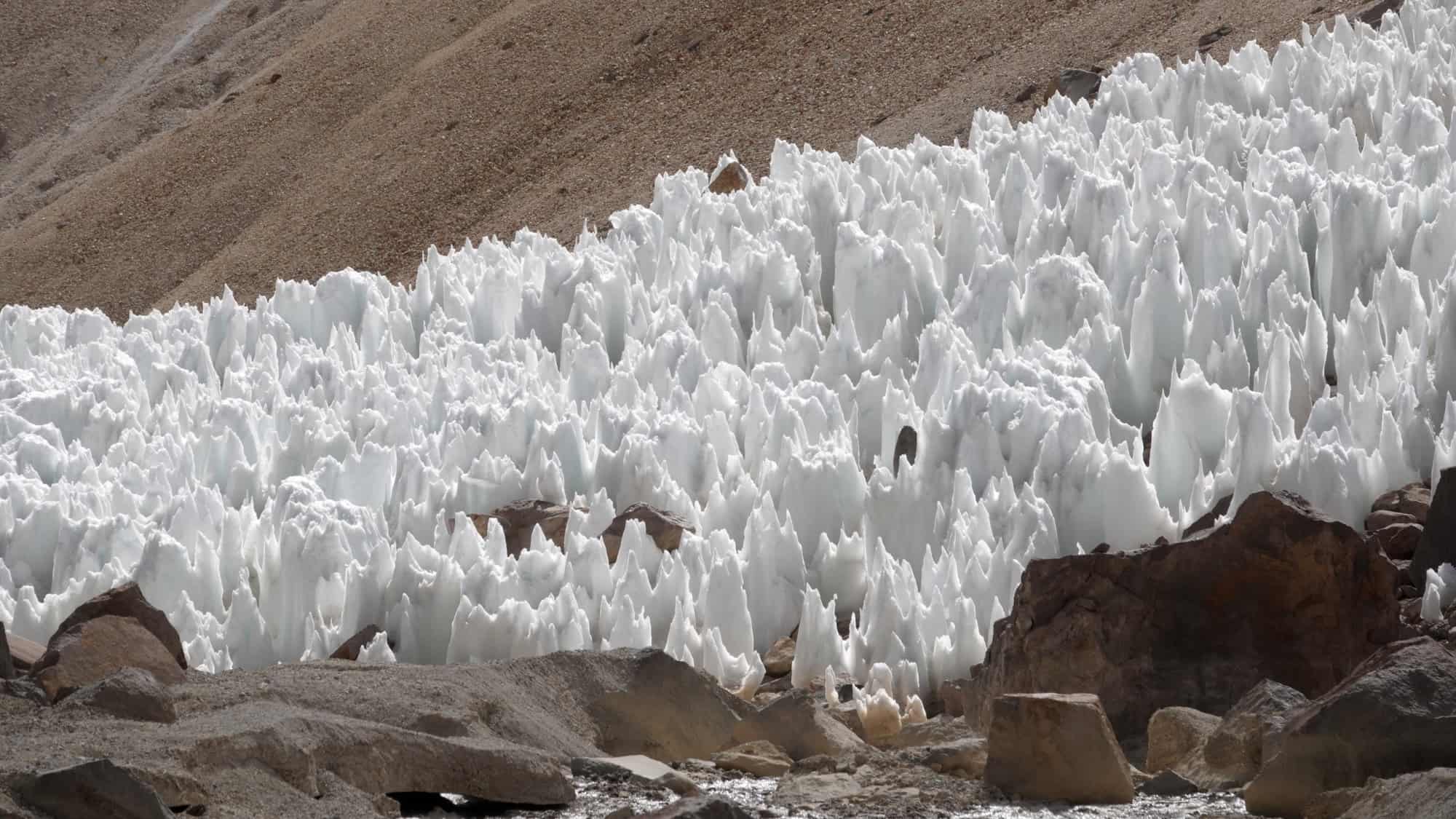 Tall, jagged spikes of hardened snow and ice rise from the ground in a dense cluster on a mountain slope.