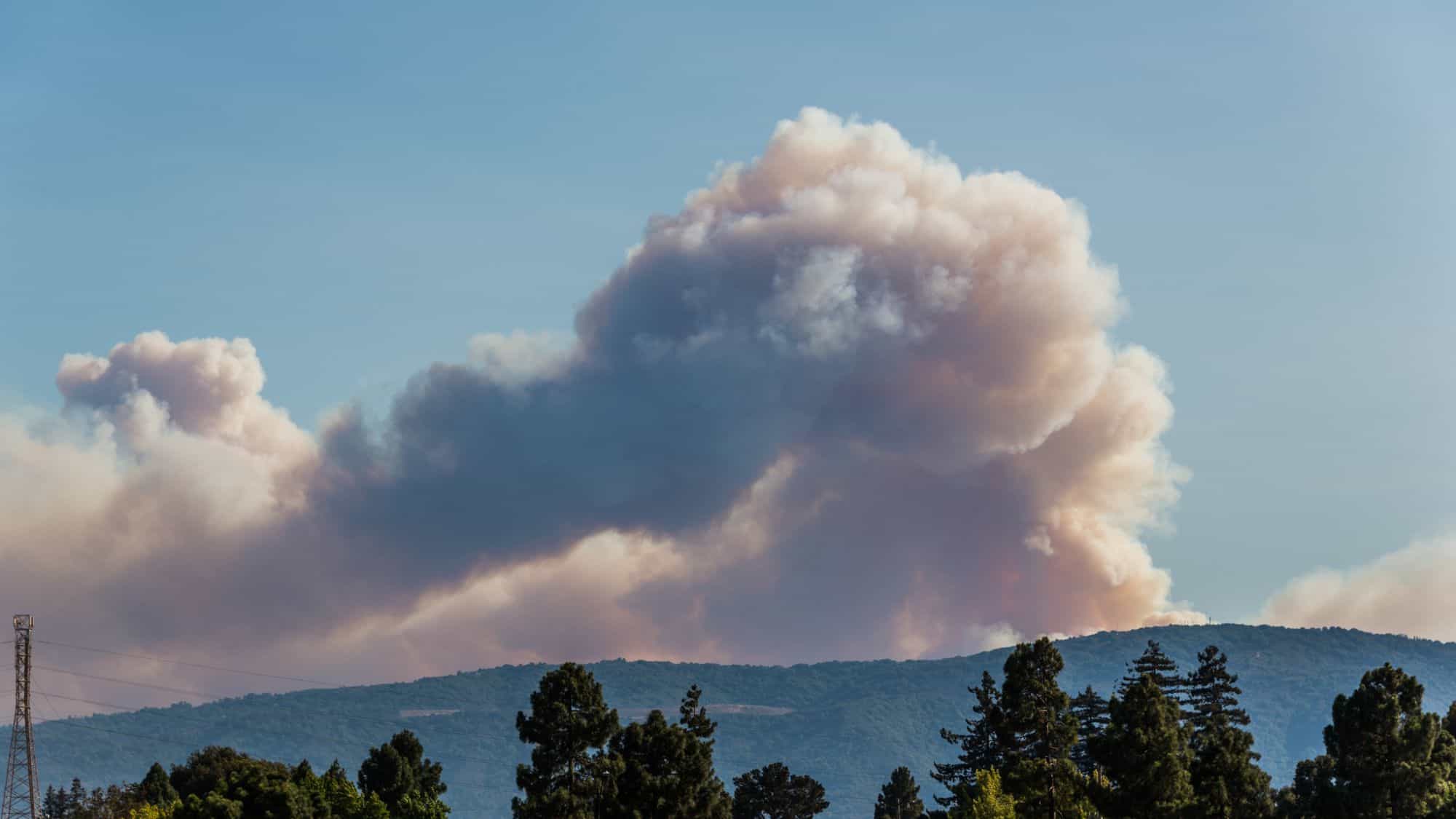 A massive plume of smoke rises into the blue sky, towering over a forested ridge, showcasing the scale of the August Complex Fire.