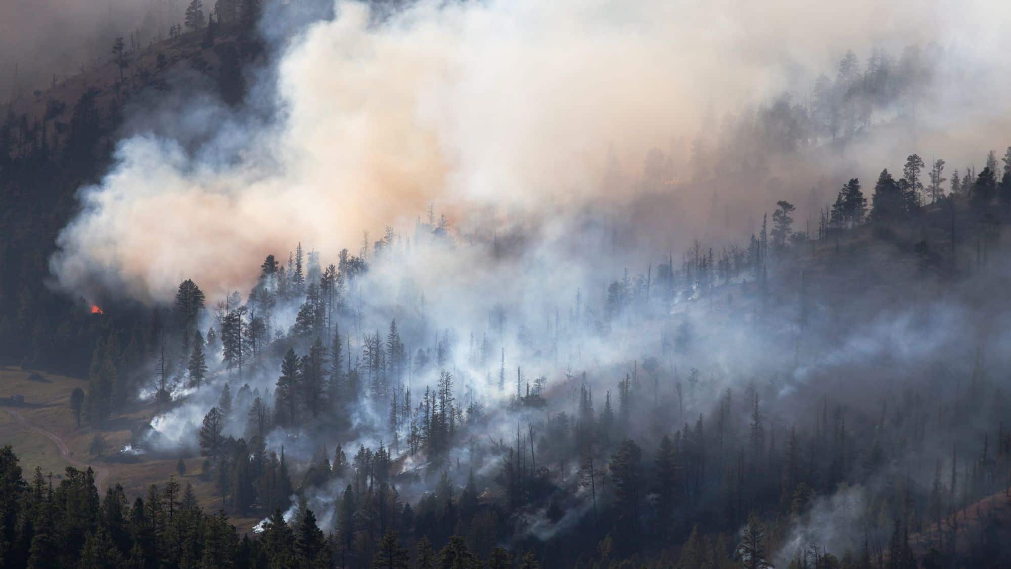 Thick smoke billows from a wildfire in a densely forested mountain area, partially obscuring trees as flames continue to burn.