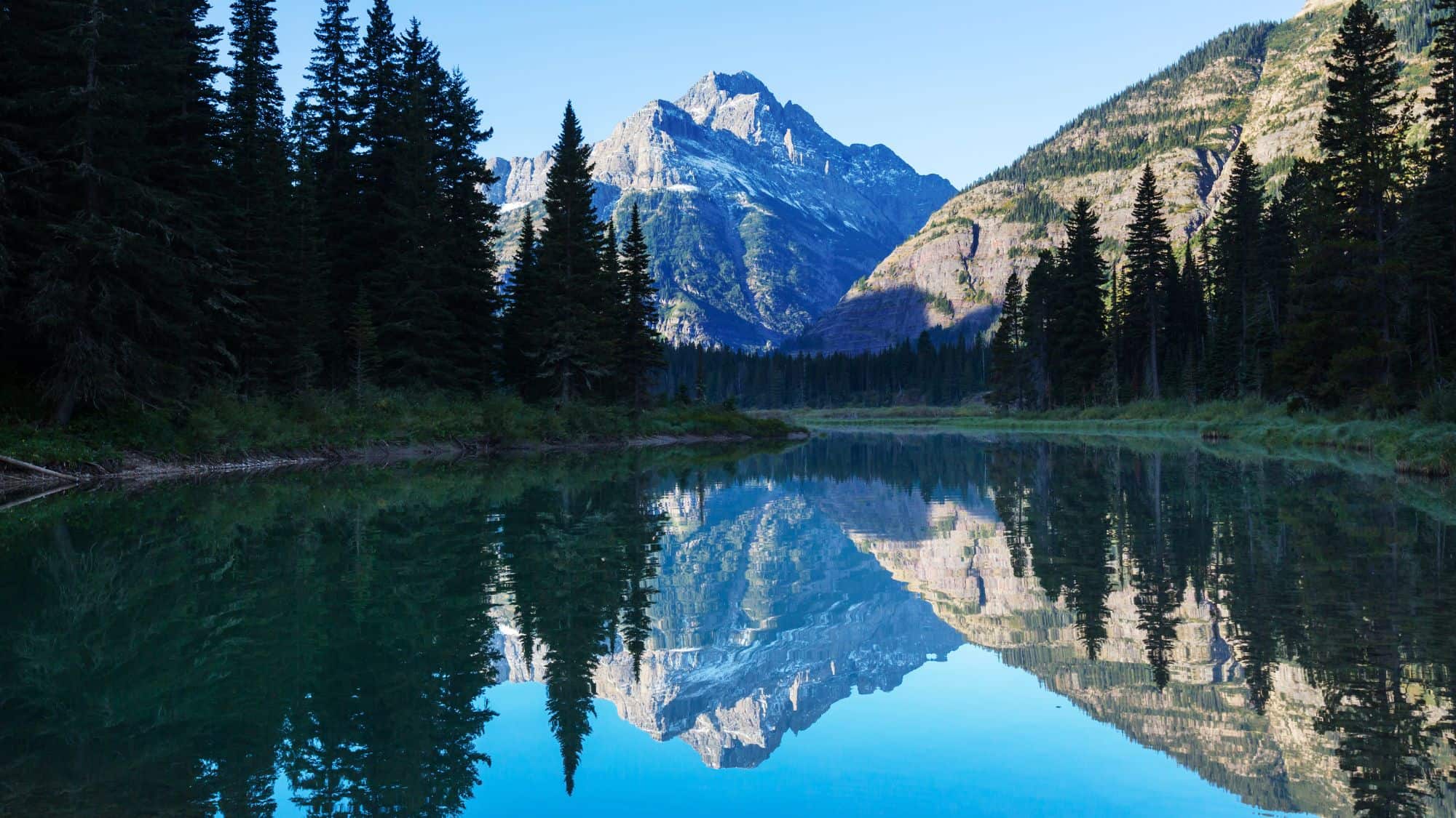 A pristine lake in Glacier National Park mirrors the surrounding snow-capped mountains and dense pine forest, creating a serene and picturesque scene.