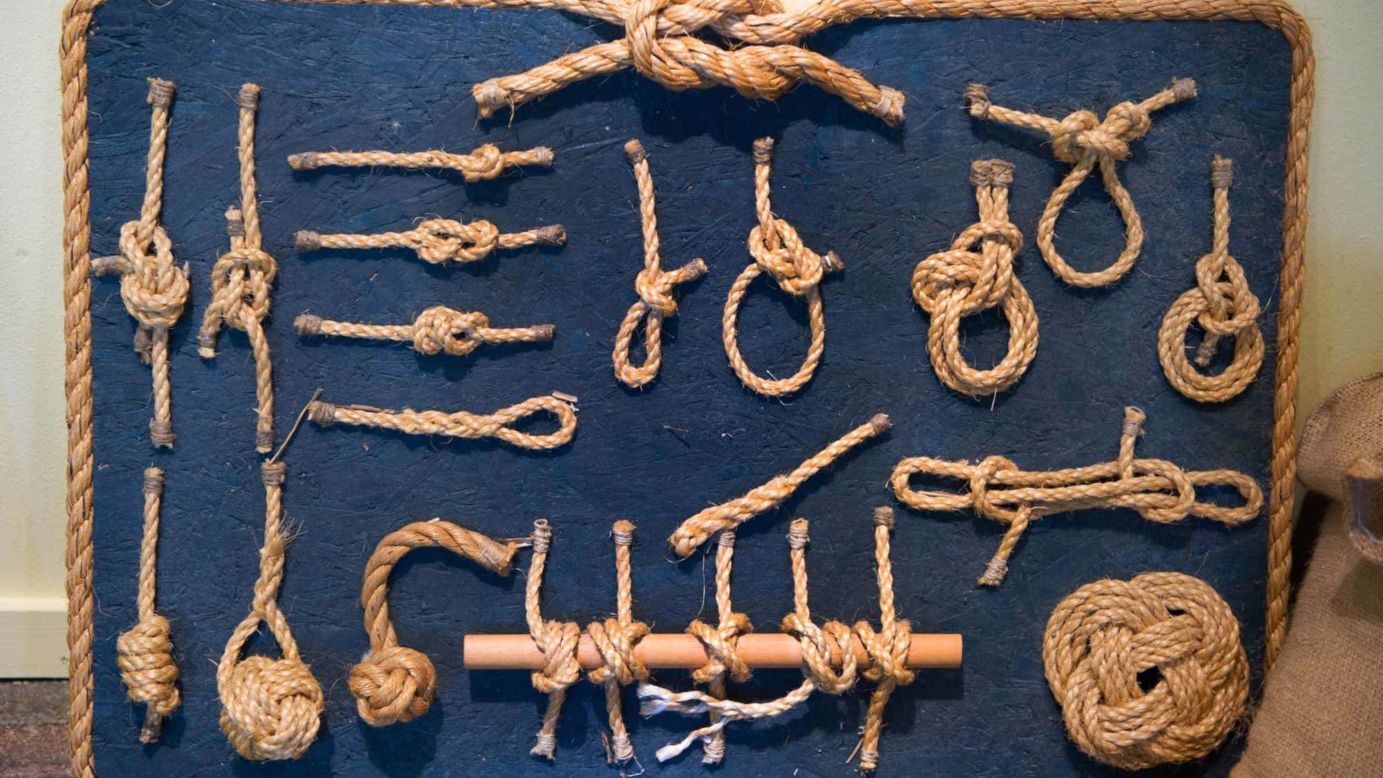 A display board showcasing various types of knots made with thick rope, arranged neatly to demonstrate different tying techniques, perfect for learning or reference.