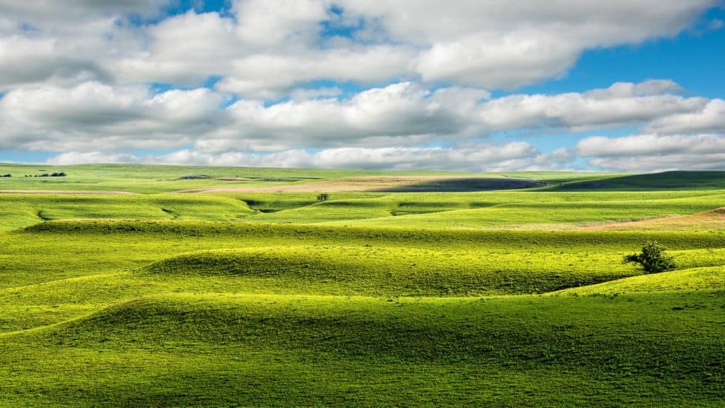 Rolling green hills stretch across the landscape under a partly cloudy sky, with sunlight casting highlights and shadows on the grassy terrain. The clouds add depth to the vast expanse, emphasizing the open prairie’s natural beauty.