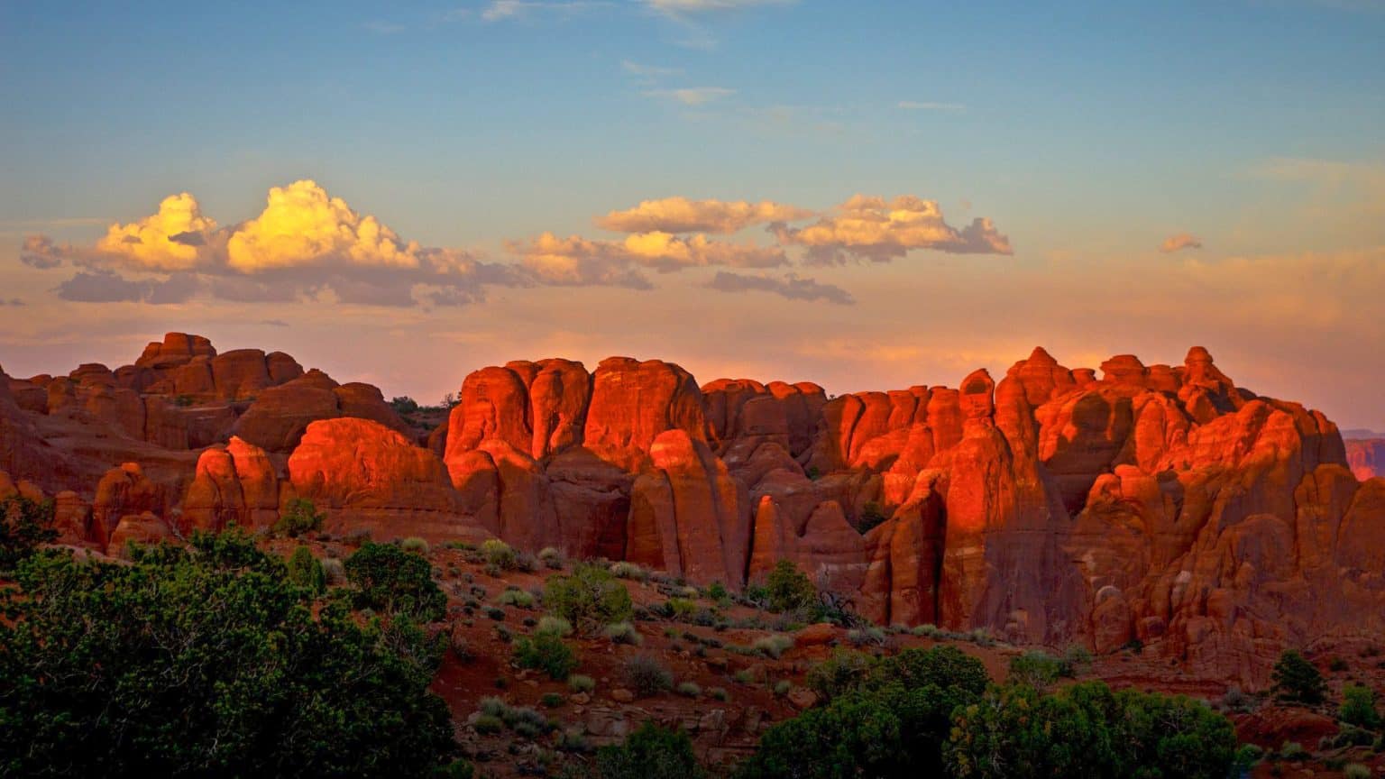 MustVisit Olympic National Park Tide Pools Revealed