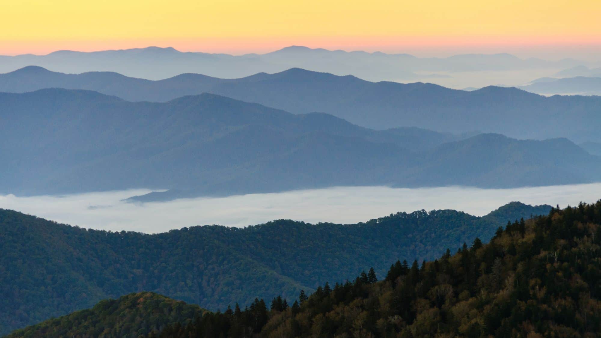 A breathtaking sunrise over the Great Smoky Mountains, with layers of rolling blue ridges stretching into the horizon. A thick layer of mist covers the valleys, creating a dreamy, ethereal atmosphere.