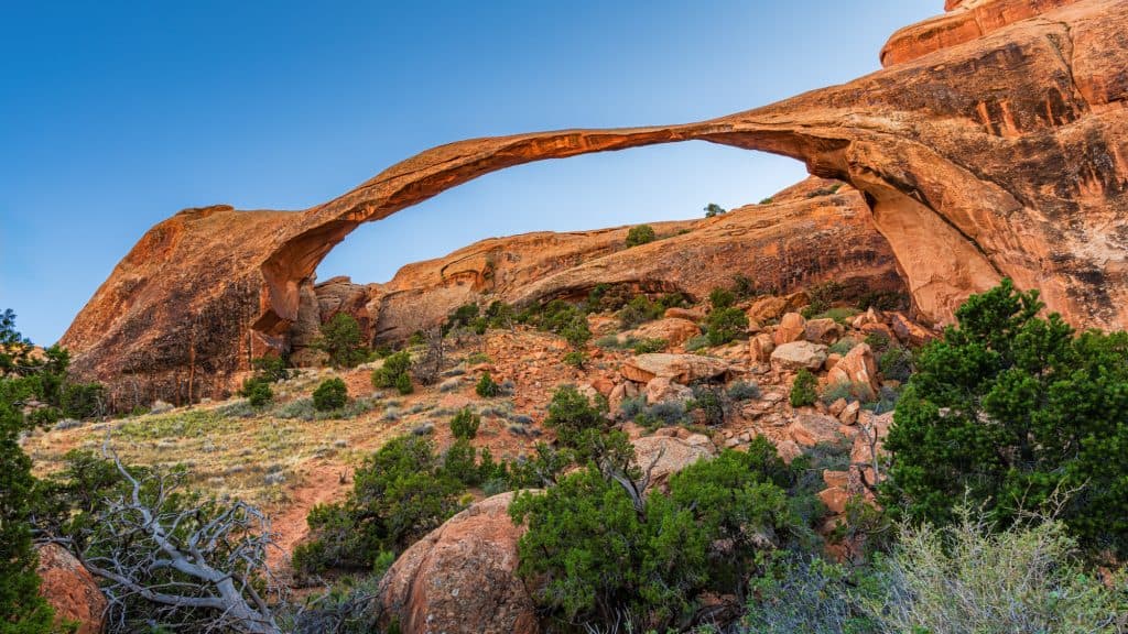 The ultra-thin and gracefully curved Landscape Arch in Arches National Park, stretching across a rugged, rocky landscape with green shrubs scattered below.