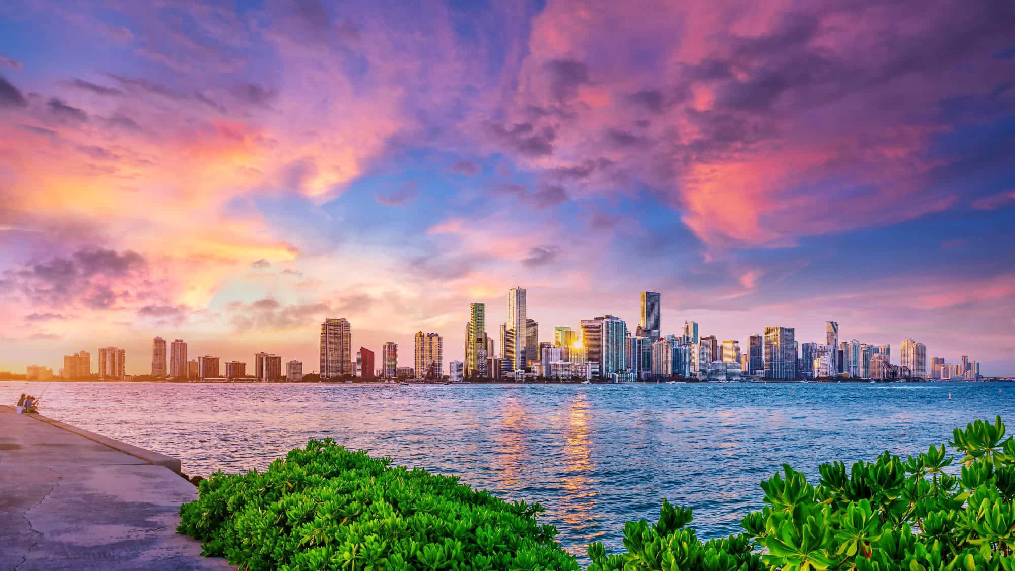 The Miami skyline glows under a colorful sunset sky with hues of pink, purple, and orange, reflecting on Biscayne Bay, with lush greenery in the foreground.