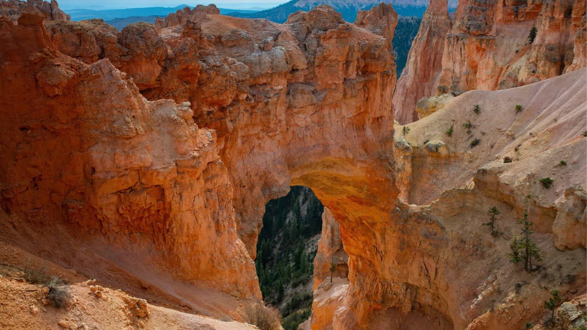 A striking natural arch of red rock stands against a rugged desert backdrop, carved by erosion over time. The formation frames a distant view of green pines and distant cliffs, contrasting the orange and brown tones of the surrounding canyon.