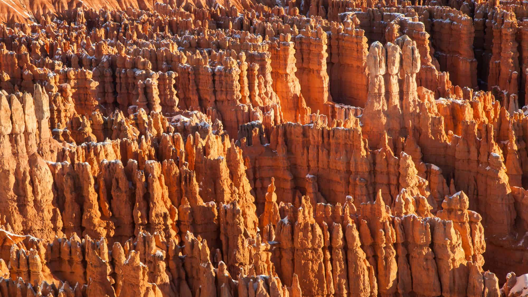 An intricate maze of towering hoodoos in Bryce Canyon glows in the sunlight, their orange and red formations capped with light snow. The dramatic landscape showcases the sheer density and unique shapes of the rock spires.