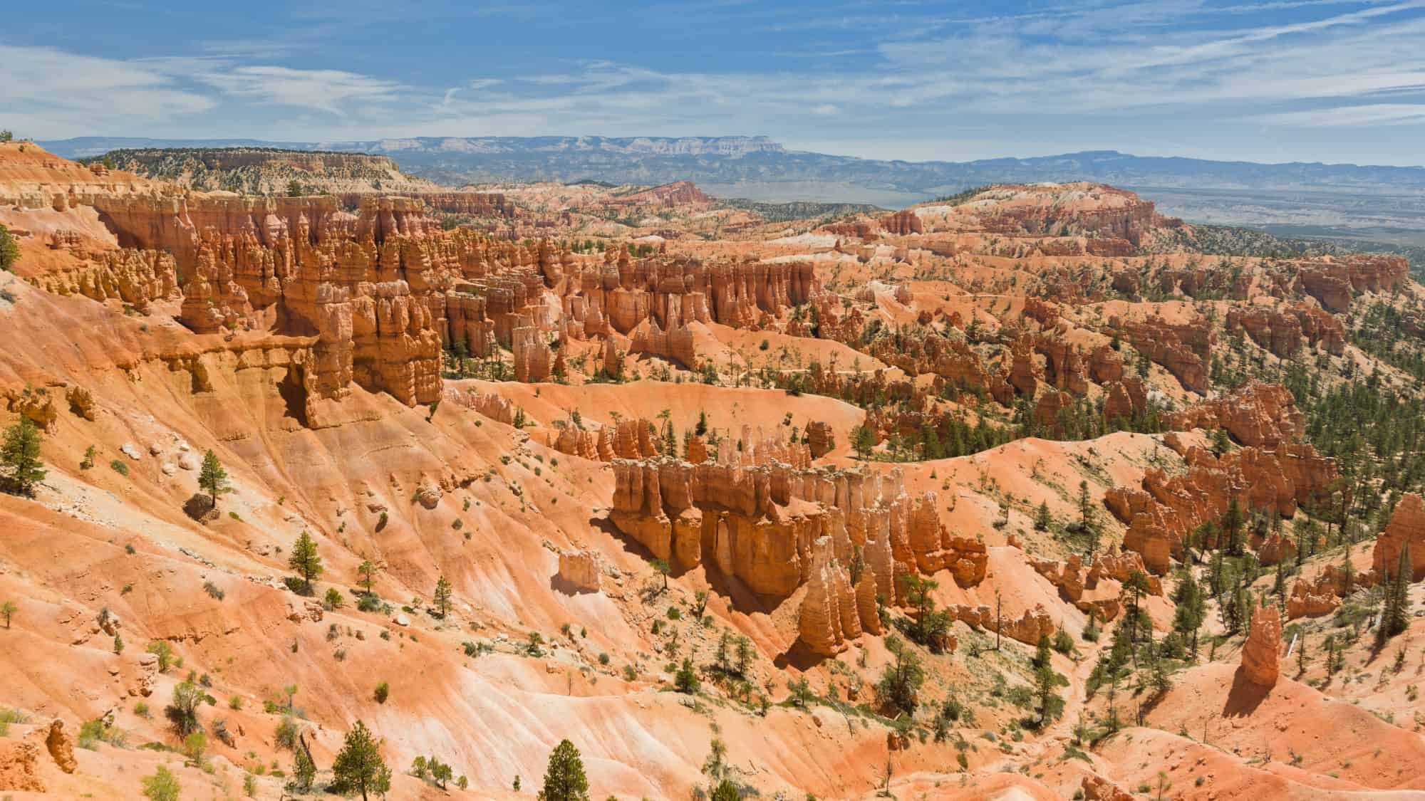 A sweeping view of Bryce Canyon’s amphitheater, where rolling orange hills and rugged cliffs are dotted with pine trees. The expansive scene stretches toward the horizon, with deep canyons and towering rock formations highlighting the park’s geological beauty.