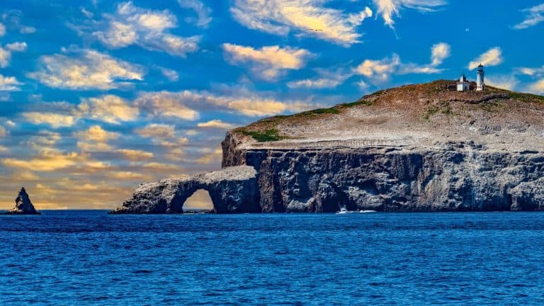 A white lighthouse stands atop a rugged, windswept hill at sunset, with dramatic clouds painted in shades of orange and purple. Seabirds are scattered across the rocky terrain, adding life to the coastal scene.