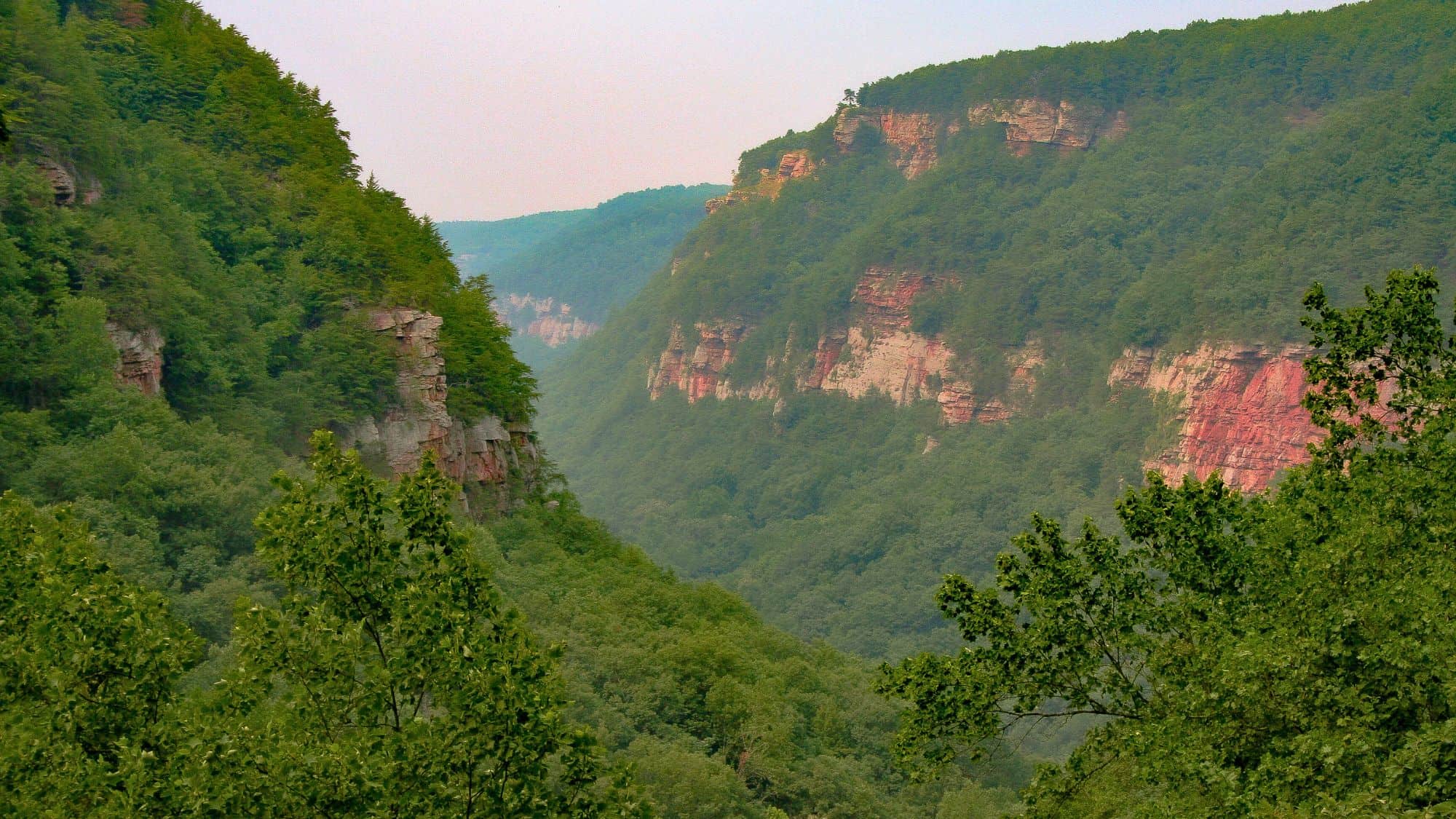 A dramatic view into the lush, tree-filled Cloudland Canyon, with layers of forested ridges and red rock cliff faces stretching into the distance under a hazy sky.