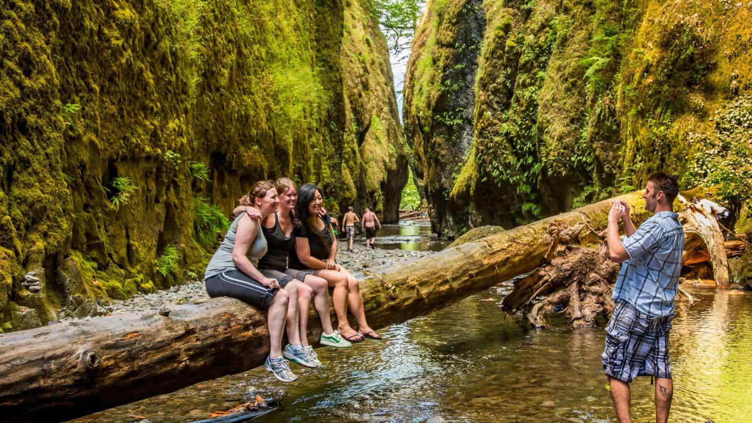 MustVisit Olympic National Park Tide Pools Revealed
