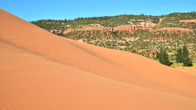 A massive, smooth sand dune rises sharply in the foreground, with its wind-sculpted surface untouched except for a few faint footprints. Beyond the dune, red rock cliffs and green vegetation contrast with the golden sand under a bright blue sky. The landscape embodies the rugged beauty of the southwestern desert.