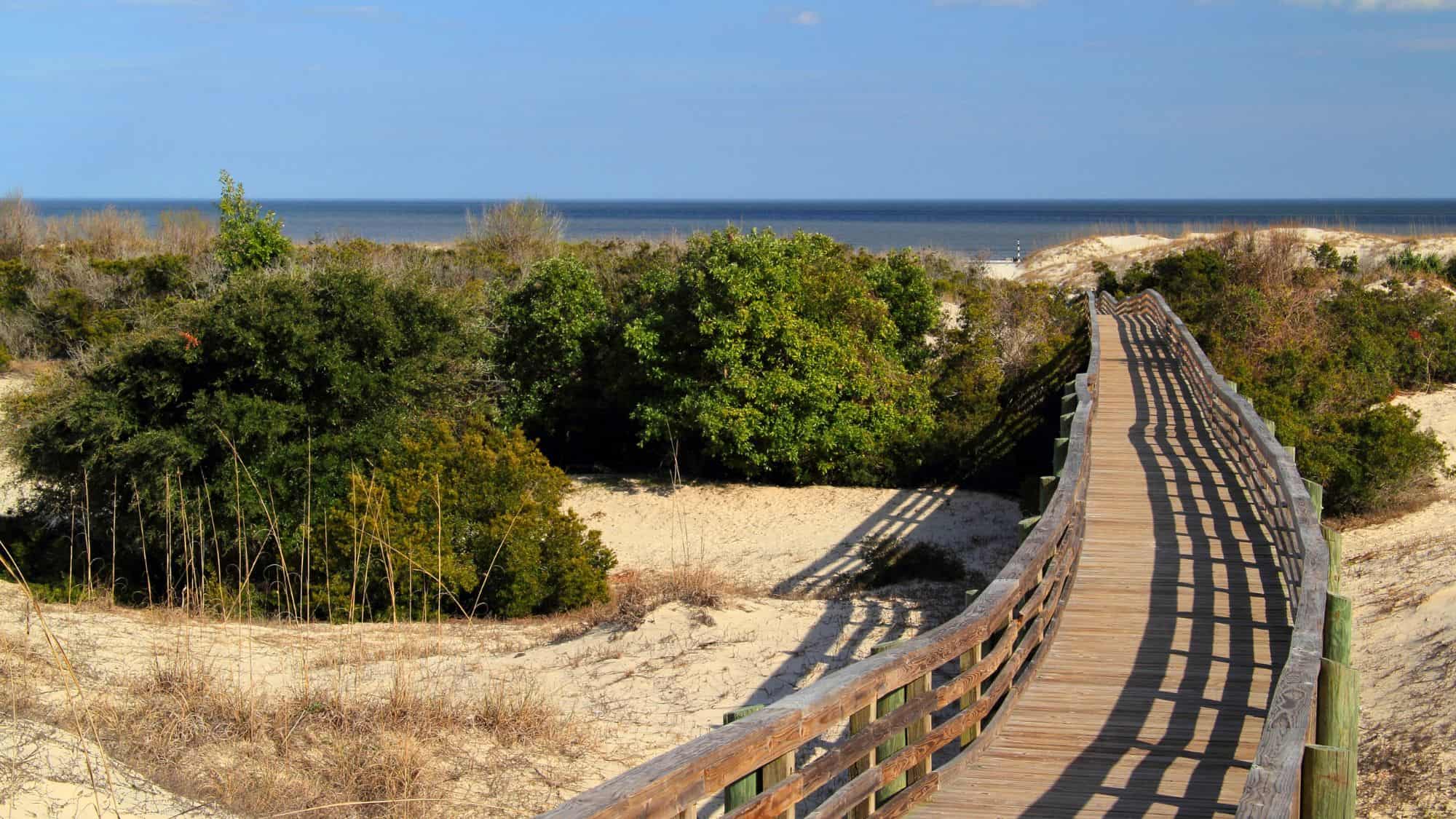 A wooden boardwalk winds through sandy dunes and green vegetation, leading to the ocean in the distance. The sky is bright blue, and the sunlight casts long shadows from the railings onto the walkway.
