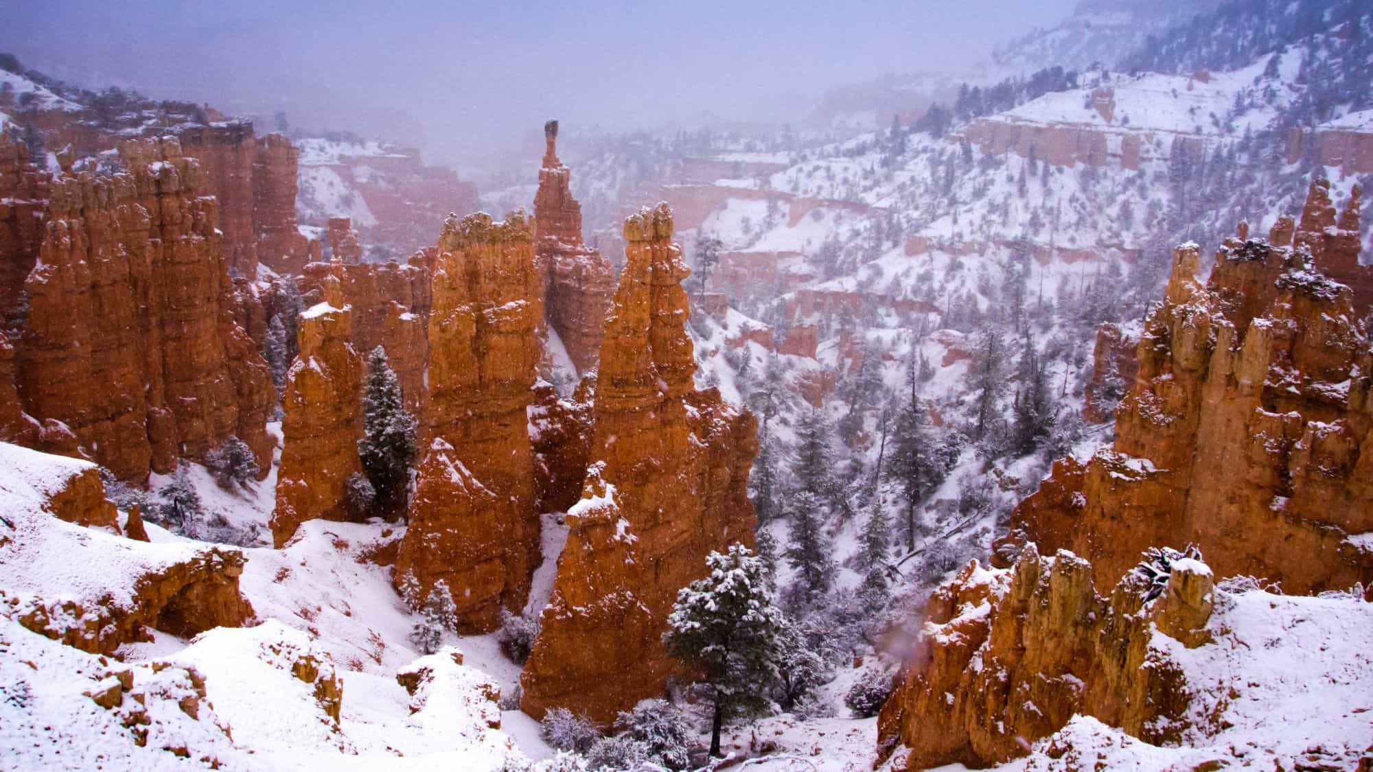 A stunning winter scene in Bryce Canyon National Park, where the iconic red rock hoodoos are dusted with fresh snow. The misty atmosphere adds a dramatic, ethereal feel to the rugged landscape.