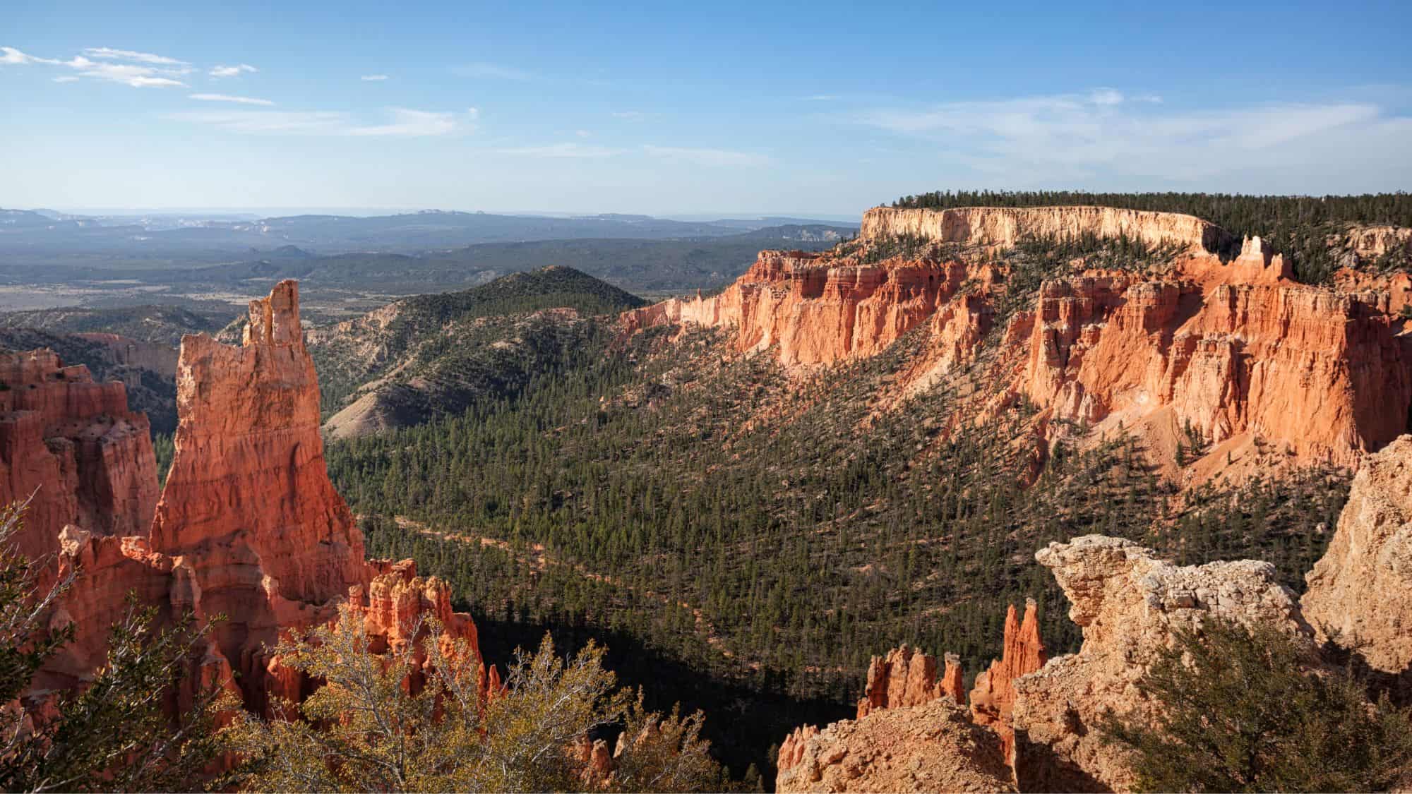 A sweeping view of Bryce Canyon’s jagged cliffs, dense forests, and towering hoodoos. The reddish rock formations contrast beautifully with the deep green pine trees below.