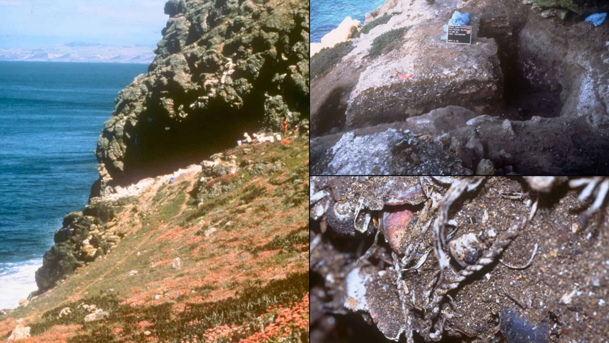 A collage of three images showcases an archaeological site on San Miguel Island, including a coastal cave, an excavation site, and a close-up of unearthed artifacts. The landscape is rugged and surrounded by the vast ocean.