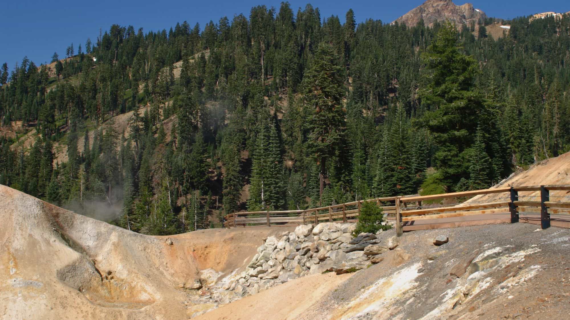 A boardwalk crossing a geothermal area with steaming vents and mineral-stained ground. Tall evergreen trees contrast with the barren, sulfur-colored terrain.