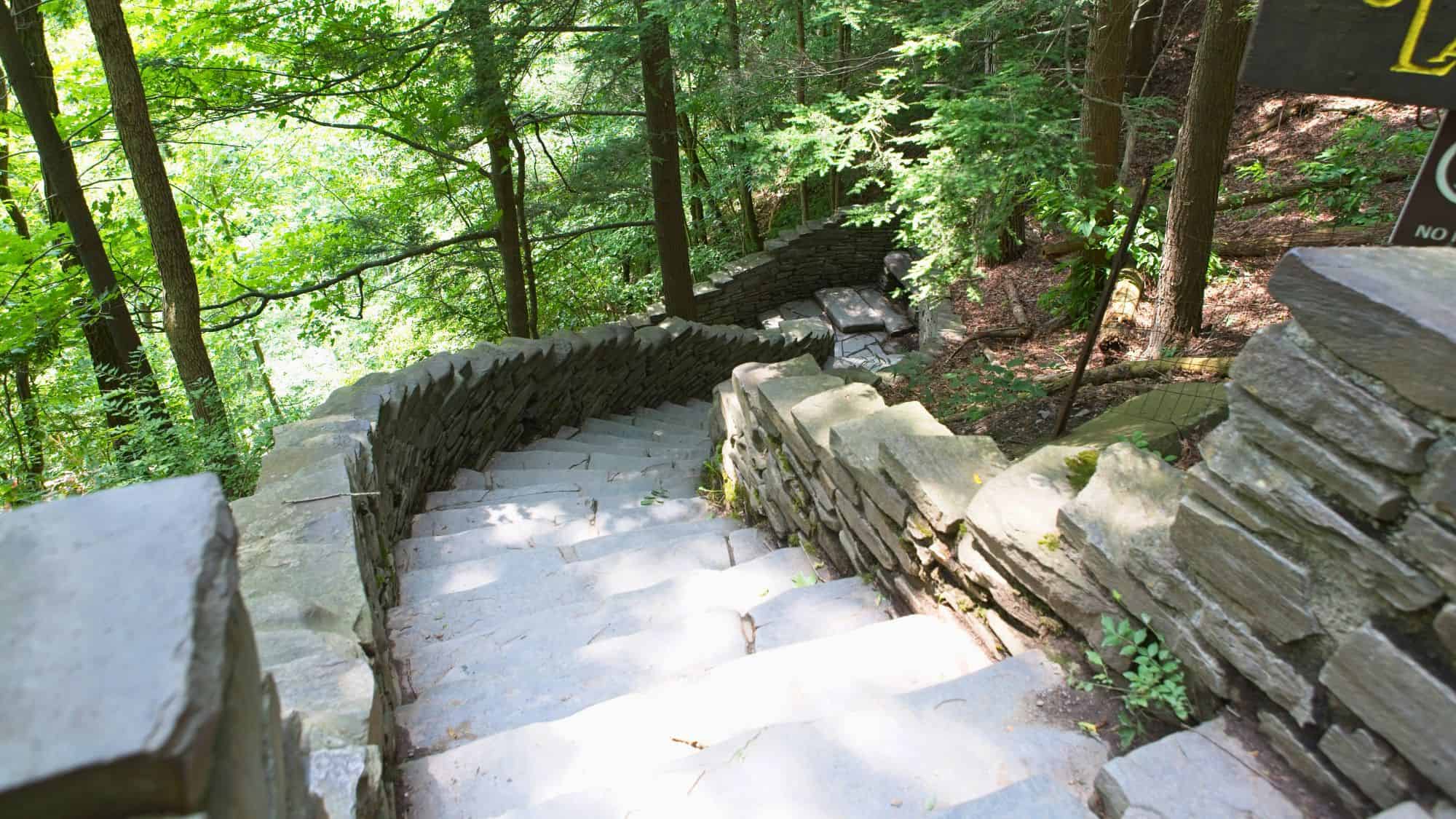 A winding staircase made of flat stone slabs descends through a shaded woodland, bordered by low stacked rock walls. Sunlight filters through tall trees overhead, casting dappled light across the steps and surrounding greenery.