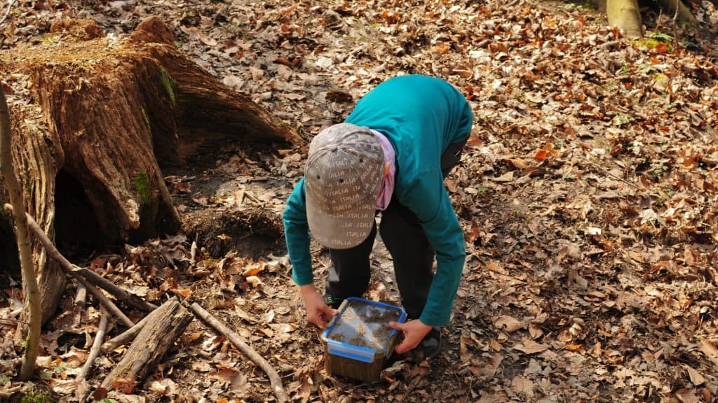 14 Surprisingly Fun Park Activities That Kids Remember Long After the Trip