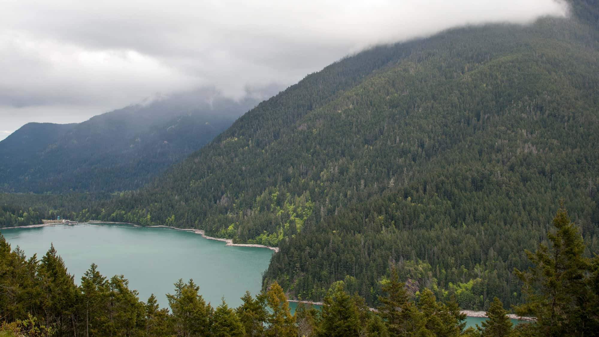 A misty, tree-covered mountain landscape with low-hanging clouds partially obscuring the forested slopes. The dark green hues of the evergreen trees contrast against the soft, gray sky.