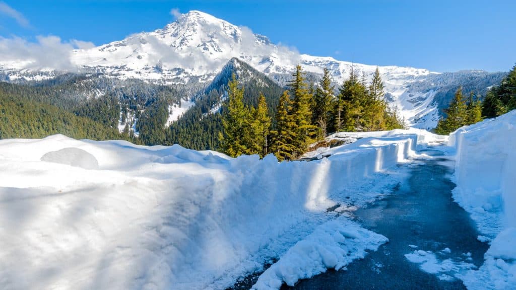A winding, cleared path cuts through towering snowbanks, leading towards the majestic, snow-covered peak of Mount Rainier. Tall evergreen trees flank the road, emphasizing the immense snowfall in this iconic national park.