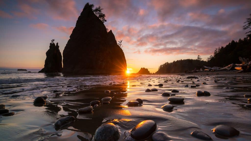 The sun sets over Rialto Beach, casting a golden glow on the wet sand and smooth, scattered stones. Towering sea stacks rise dramatically from the ocean, their silhouettes contrasting against the colorful sky filled with soft pink and orange clouds. Waves gently wash ashore, reflecting the warm hues of the fading sunlight.