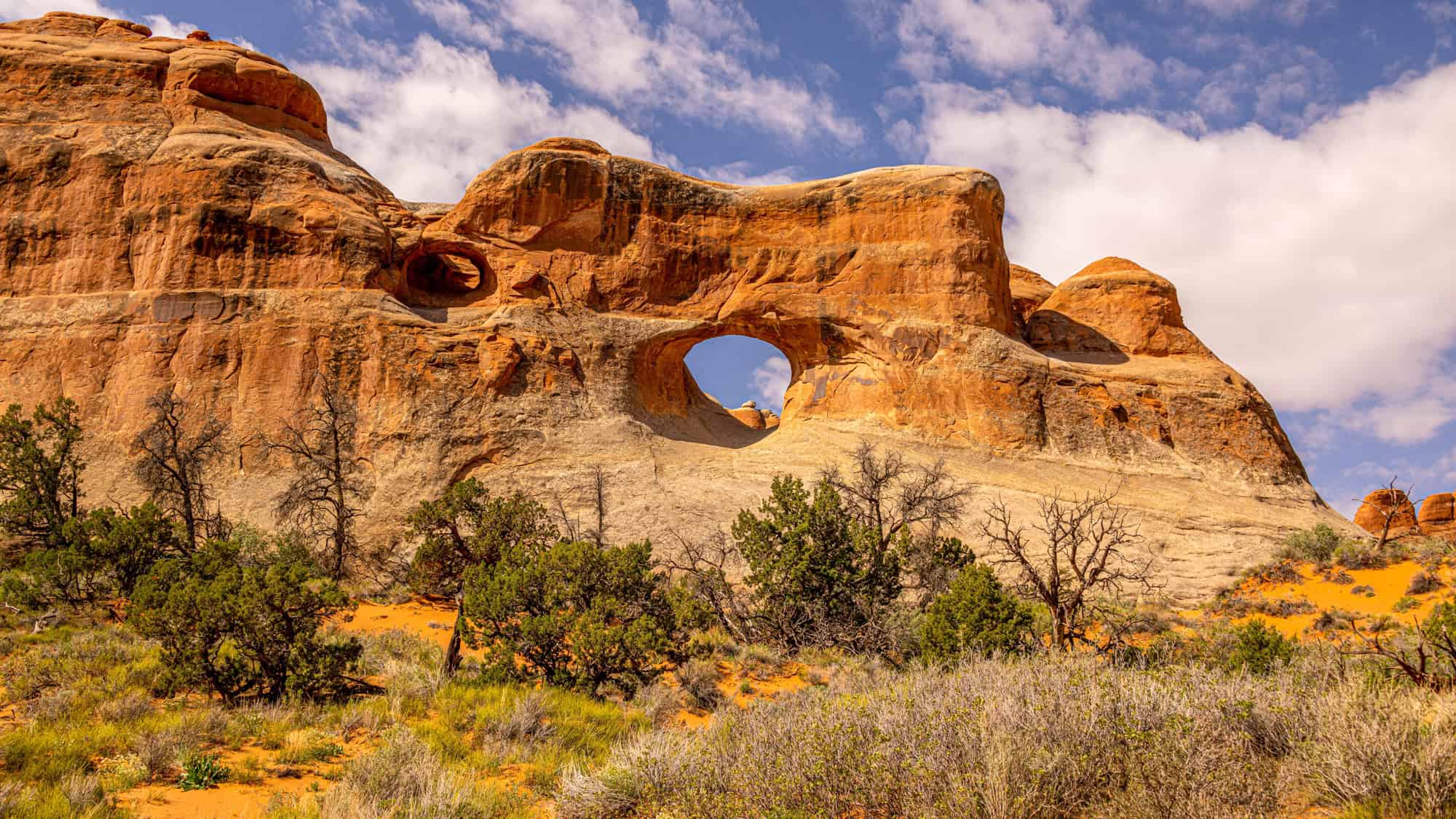 A naturally carved arch in a massive sandstone wall, featuring a circular opening that frames the bright blue sky beyond. The red and orange hues of the rock contrast beautifully with the surrounding desert greenery.