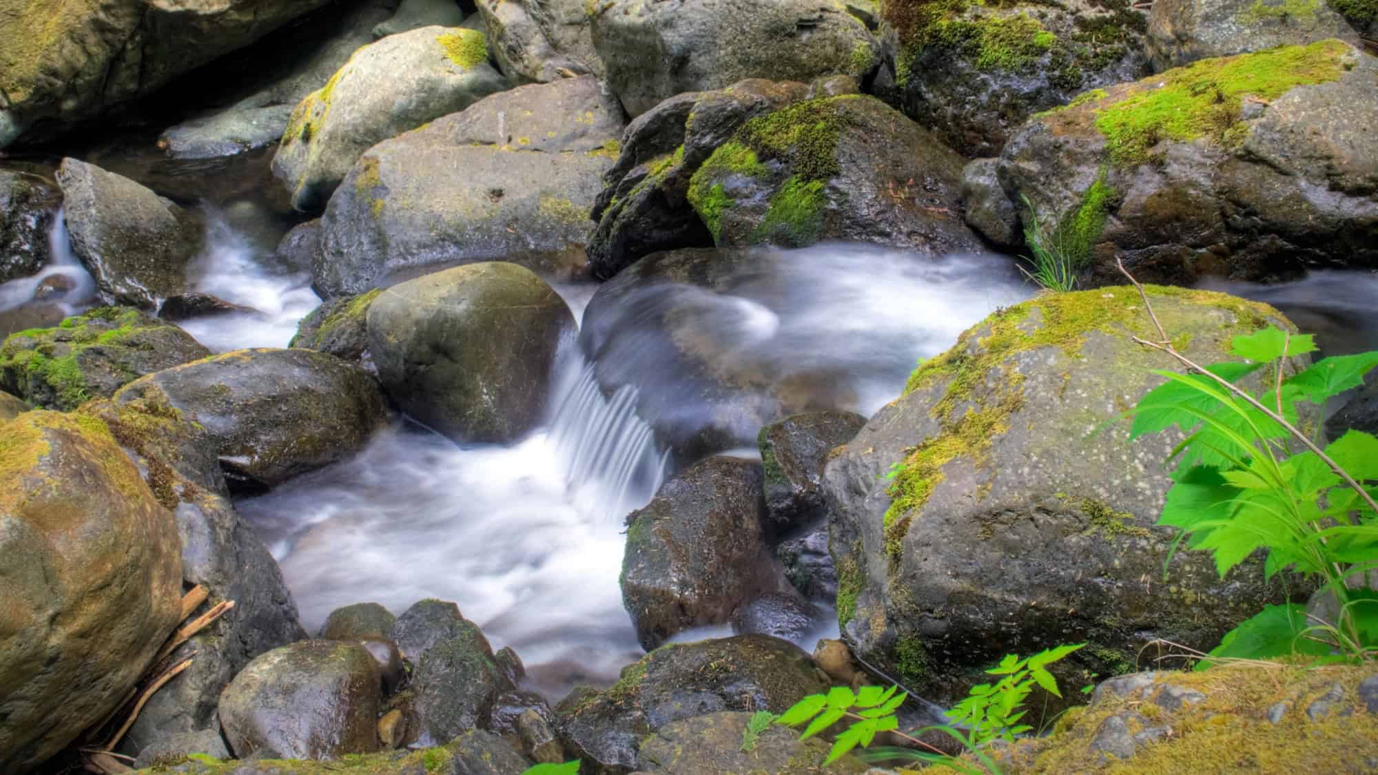 A small cascading waterfall flows through moss-covered rocks in a forest setting, surrounded by lush ferns and foliage. The silky effect of the rushing water adds a peaceful, ethereal quality to the scene.