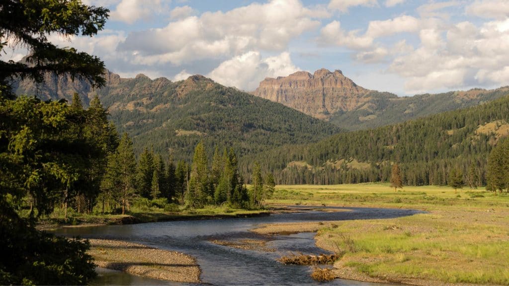 A winding river cuts through a lush green valley, with rugged mountain peaks in the background. Evergreen trees line the riverbanks, and soft clouds scatter across the sky.