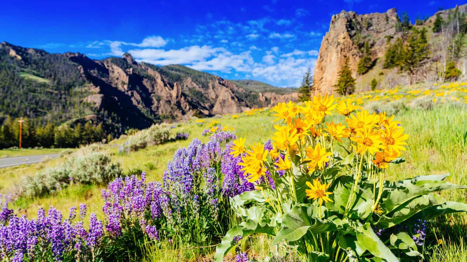 National Parks Spring Color 15 Parks That Transform Into Spectacular, Camera-Worthy Landscapes ...