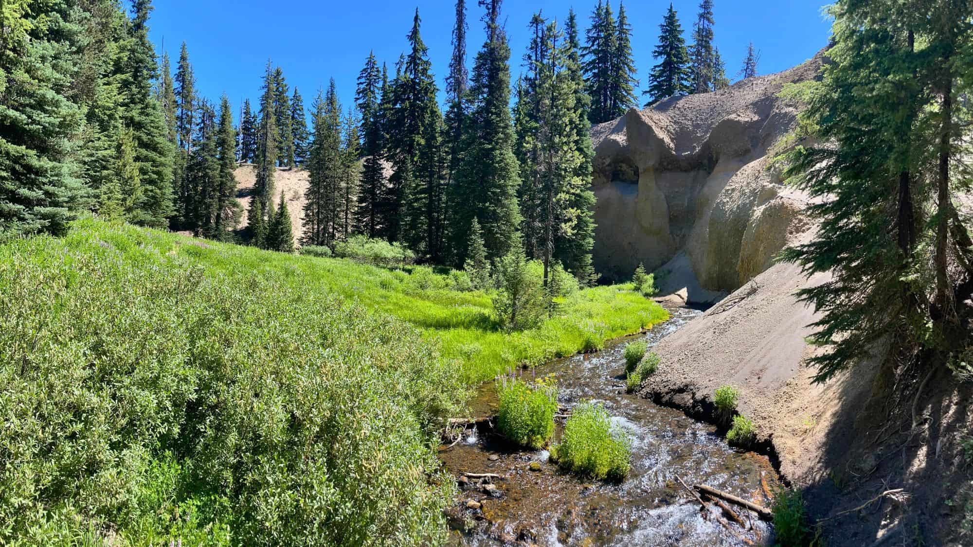 A lush green meadow with a winding stream runs through a forest of tall pine trees and past rocky canyon walls under a bright blue sky, capturing the peaceful scenery along the Annie Creek Canyon Trail.